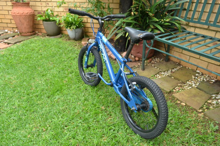 Muna Comp 16"
