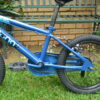 Muna Comp 16"