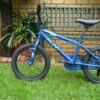 Muna Comp 16"