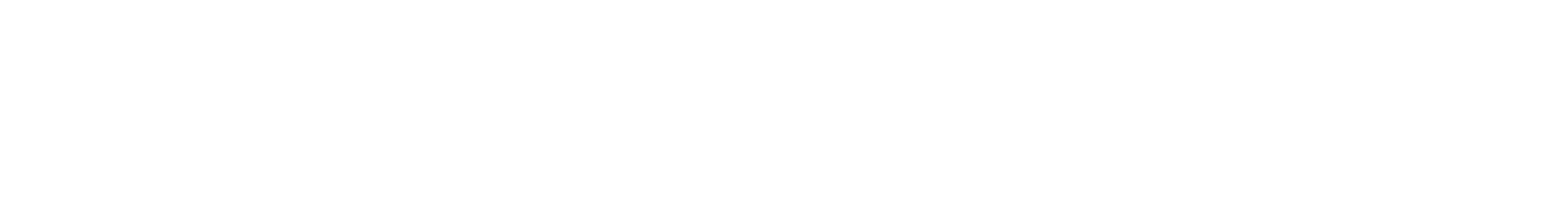 The Bicycle Box SA logo